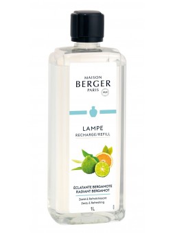 copy of Maison Berger Paris...