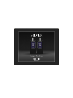 Noberu Of Sweeden Silver...